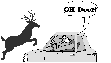 deer.gif